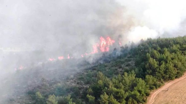 Лесной пожар в Фетхие полыхает на площади 20 га