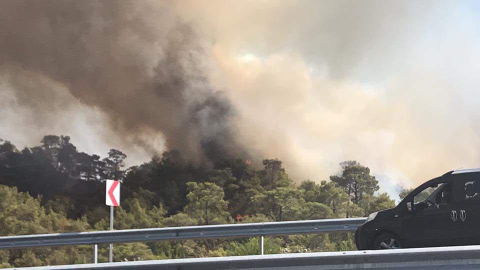 Лесной пожар вспыхнул в Фетхие