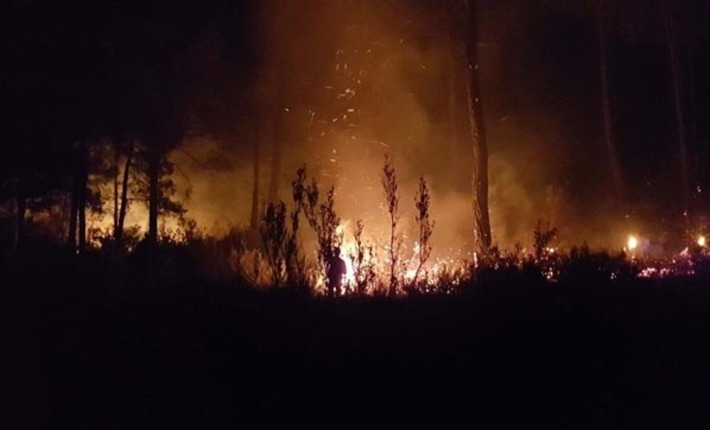 Удар молнии превратил в пепел большой участок  леса в Манавгате