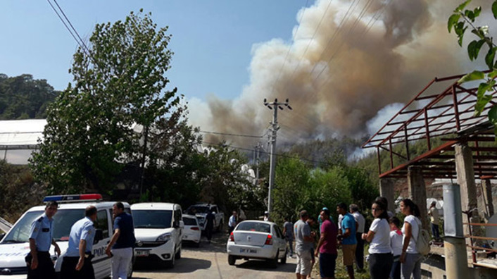 Лесной пожар вспыхнул в Анталии (фото и видео)