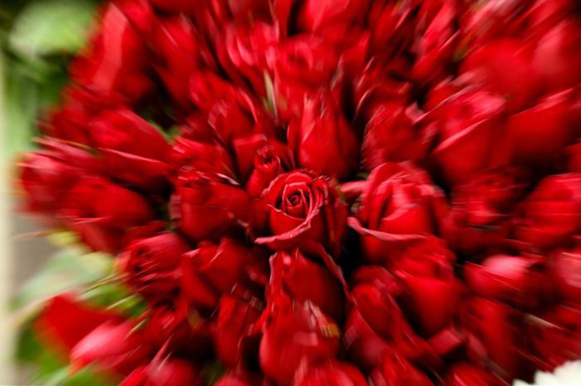 В Турции на День влюбленных планируют продать 6 млн роз
