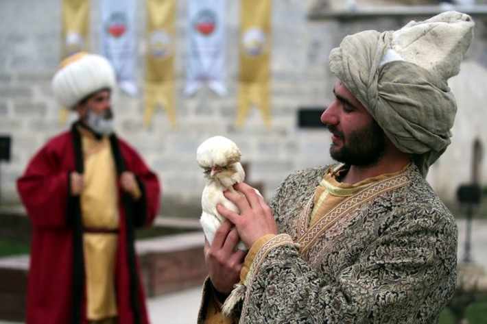 В Турции воссоздают породу османских Султанских кур
