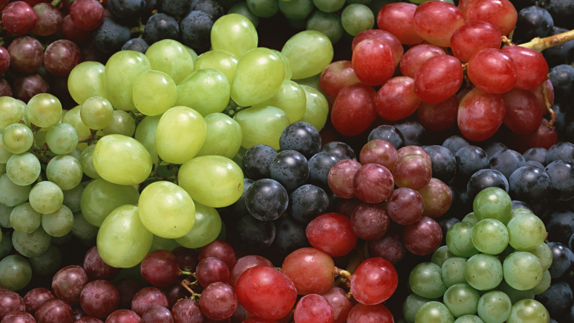 Начались поставки турецкого винограда  в Европу и Россию