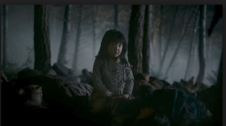 Турецкий фильм «Айла: дочь войны» стал претендентом на “Оскар”