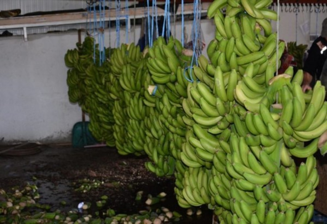 На Мальдивах будут продавать бананы из Анталии