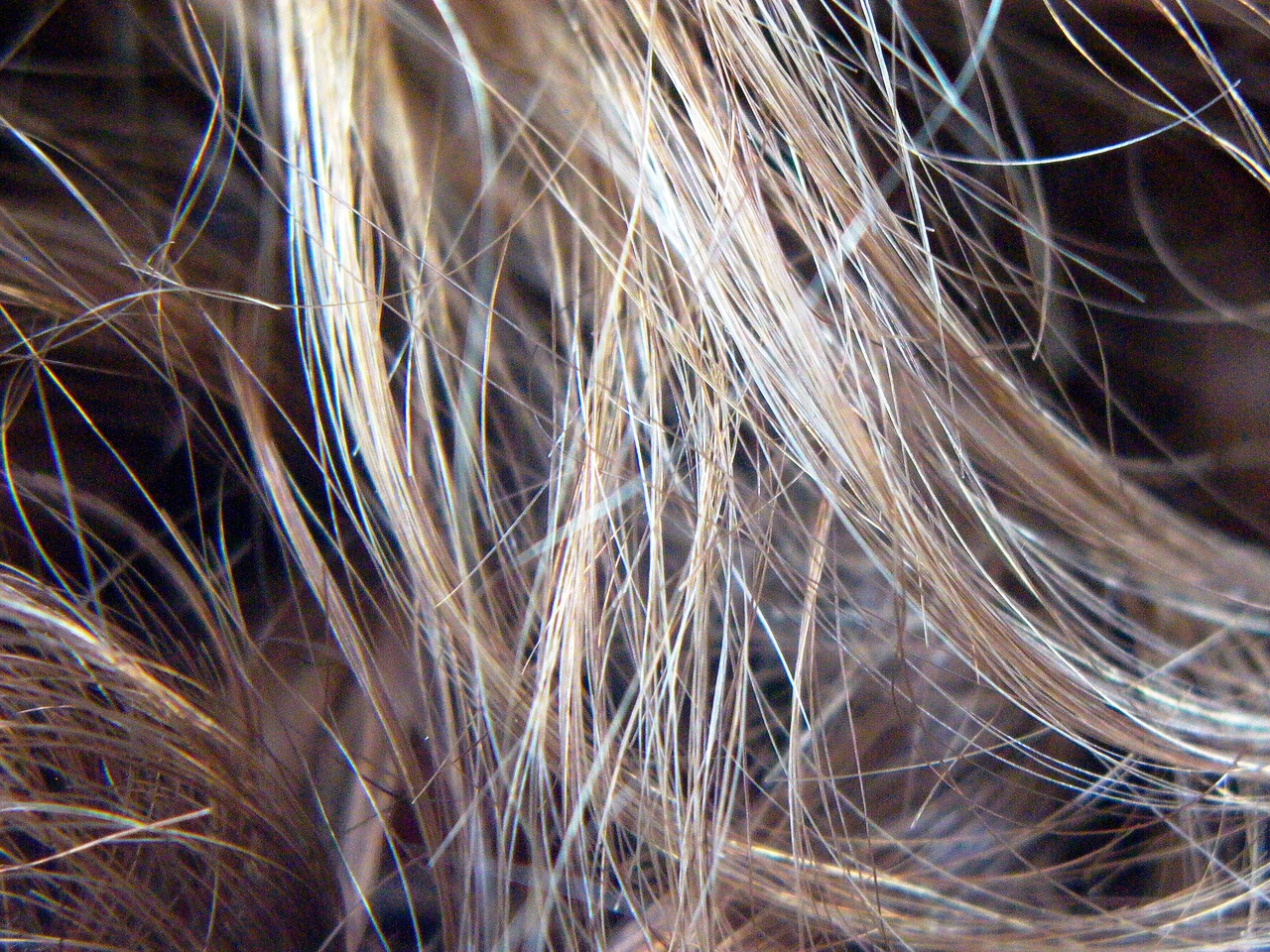   Как найти хорошего мастера для мелирования волос на дому в центре Анталии  
