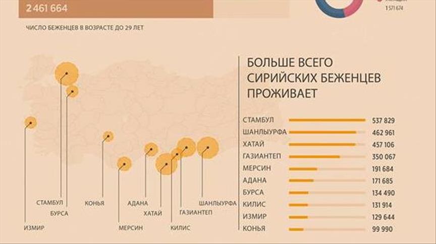 Турция предоставила временное убежище почти 3,5 млн сирийских беженцев