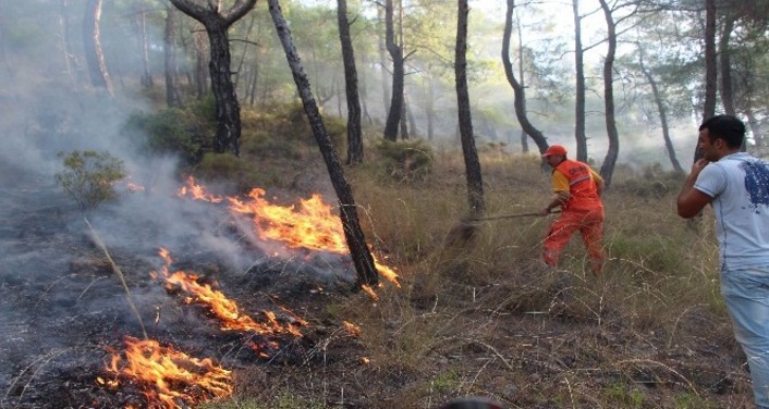 Зафиксировано три различных очага возгорания леса в Анталье