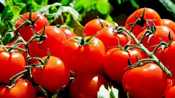 Еще пять турецких компаний будут ввозить помидоры в Россию
