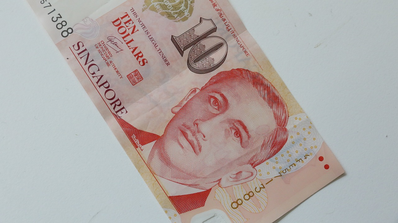  Обмен сингапурских долларов на турецкие лиры  