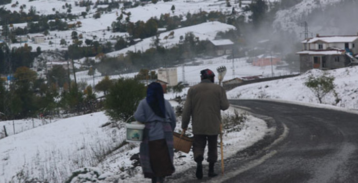 Дороги в Турецком Артвине завалило снегом