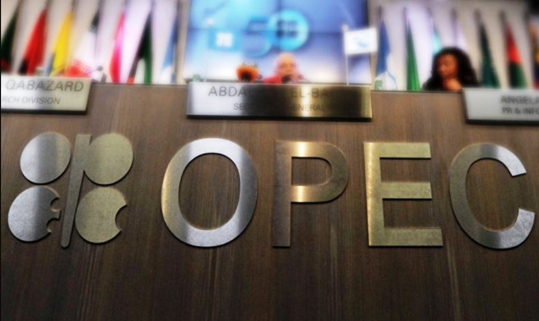 22 всемирный Конгресс OPEC в Стамбуле