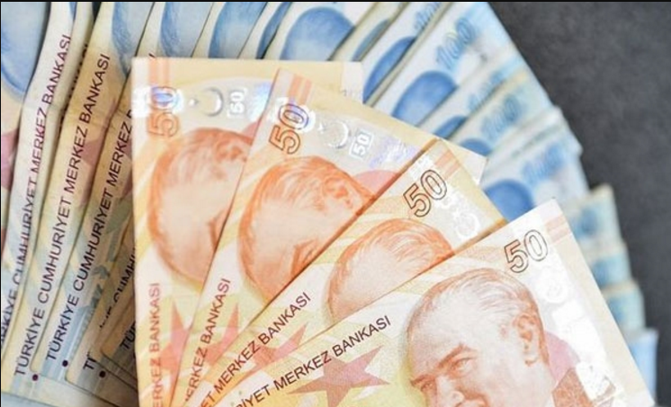  О выпуске новых банкнот достоинством в 50 и 100 турецких лир 