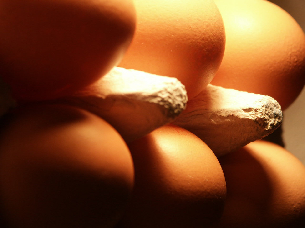 Рекомендация продовольственного магазина, где продаются домашние куриные яйца в Анталии