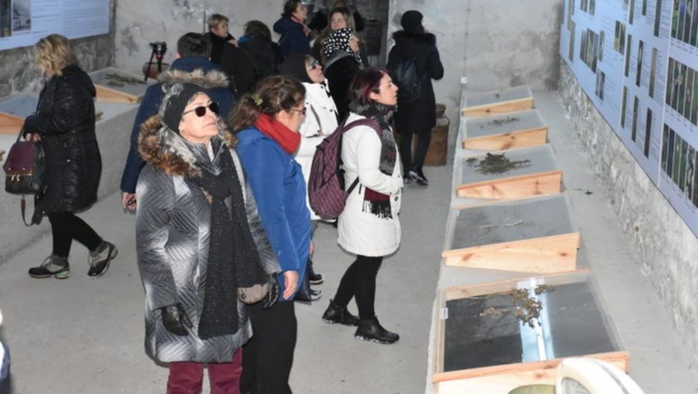 Музей сыра в Турции привлекает российских туристов