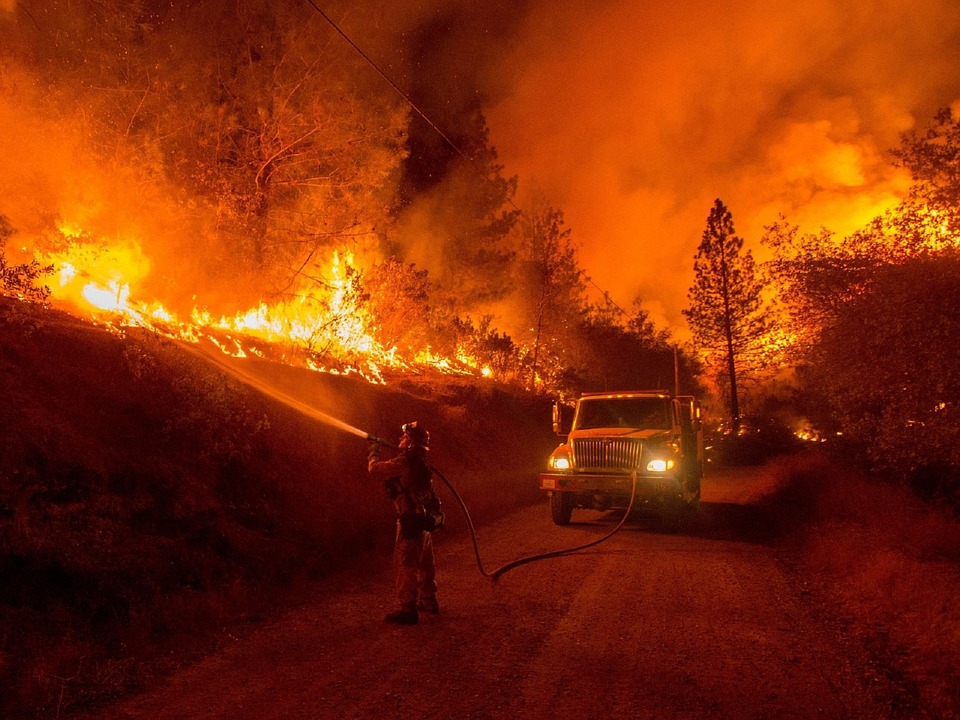 Лесной пожар вспыхнул на юго-западе Турции