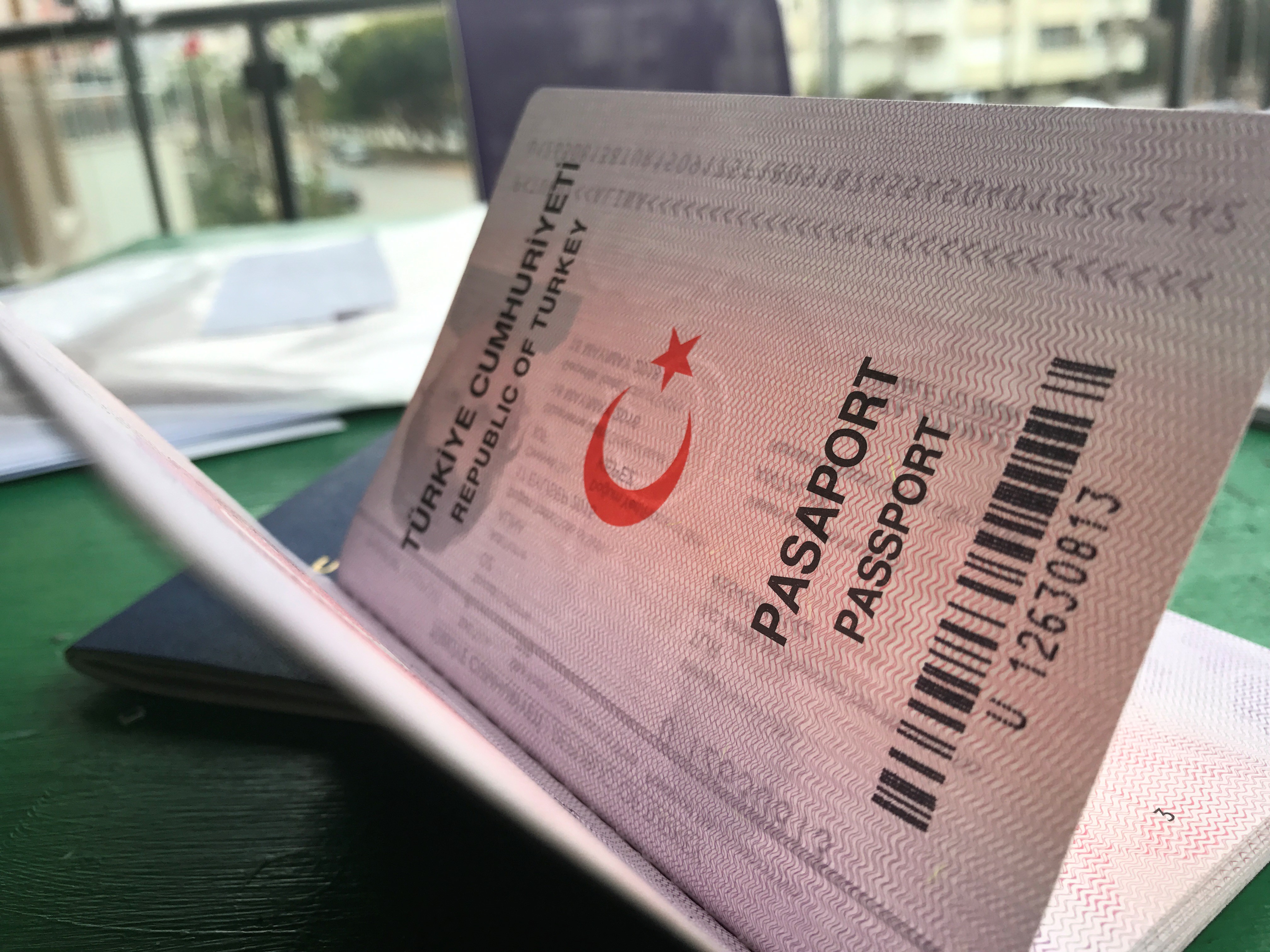  На какой срок делается виза в Россию для турецкого гражданина?  