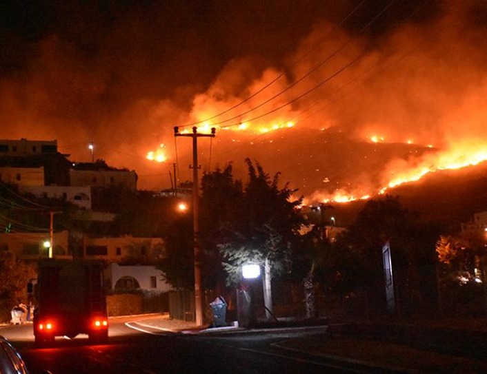 Пожаром в турецком Бодруме уничтожено 90 гектаров леса 