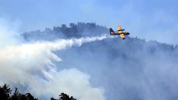 Лесной пожар в Анталье потушен