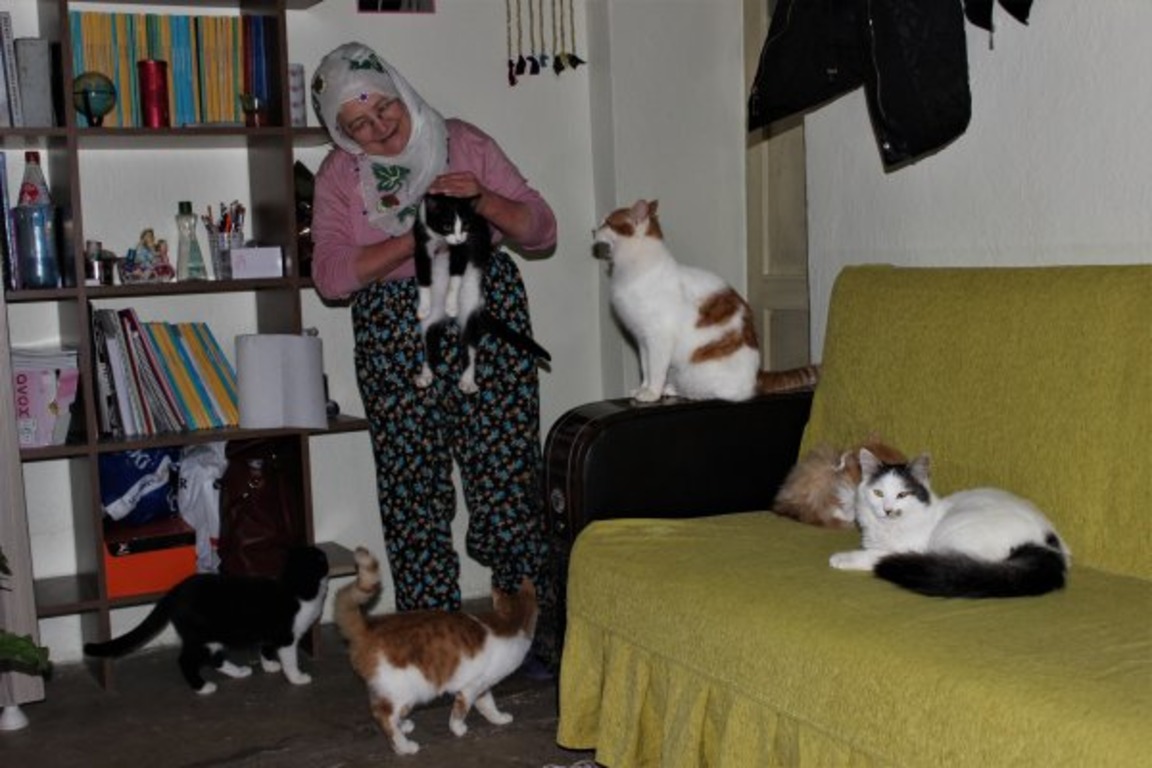 Турецкая пенсионерка приютила 58 кошек