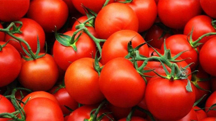 На территорию Украины не пустили турецкие помидоры