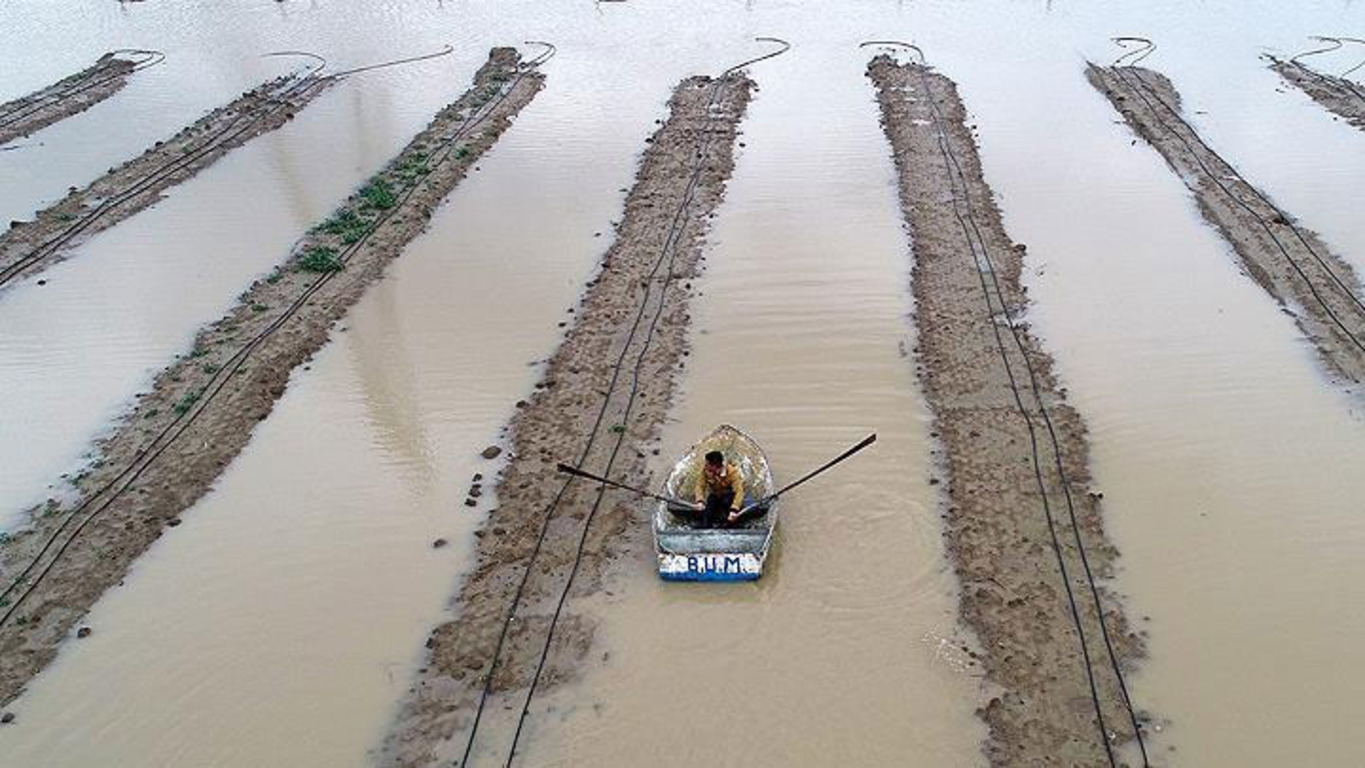 Фермеры Аданы выплывают в поле на лодках