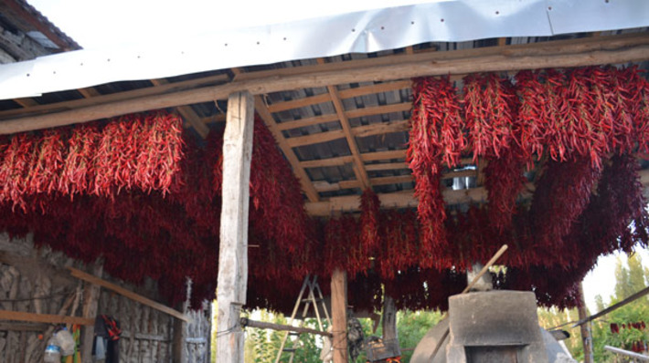 Деревня в Турции производит красного перца 100 тонн в год