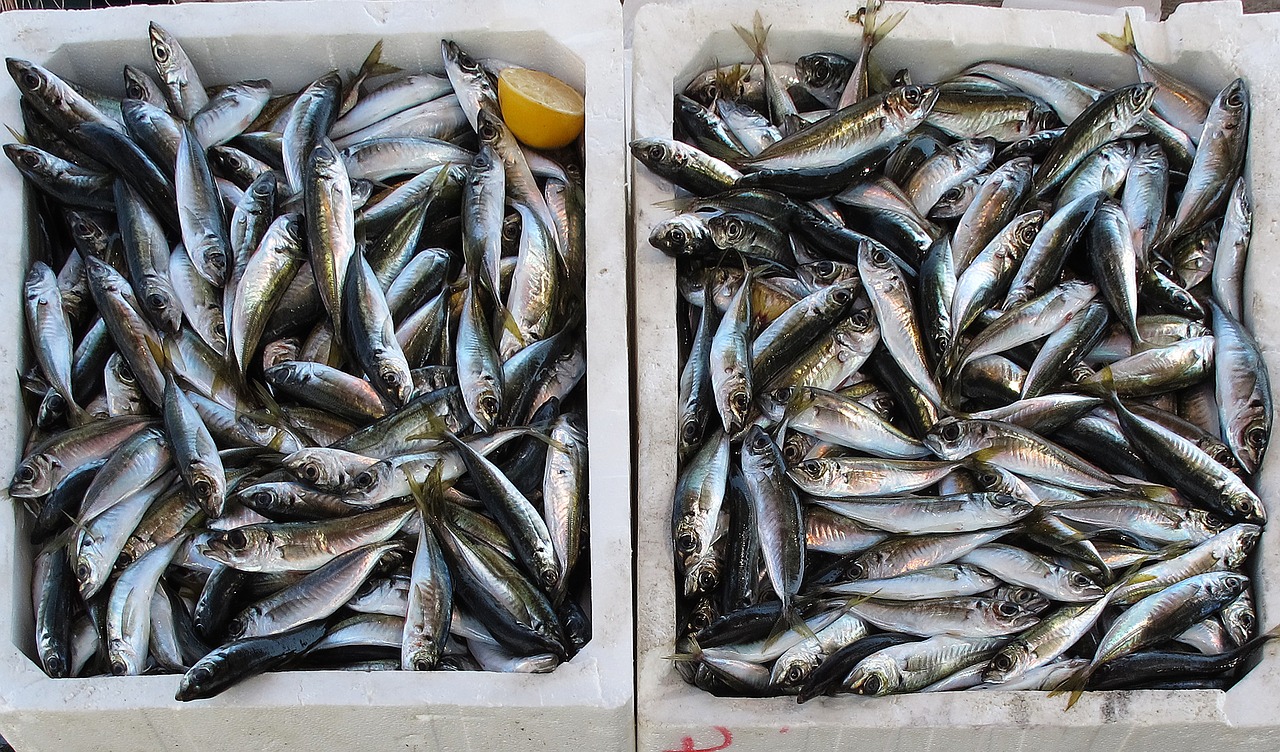 Где и как лучше купить рыбу в Анталии: советы горожан