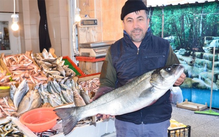 Гигантский морской окунь был продан по цене барашка в Балыкесире