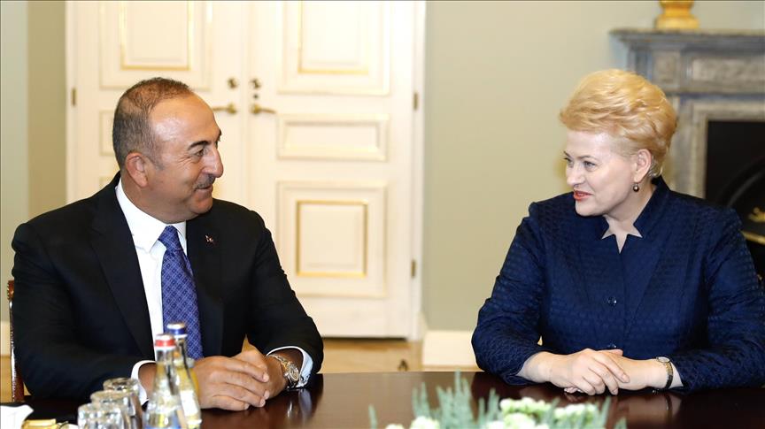 Турция активизирует двусторонние отношения с Литвой