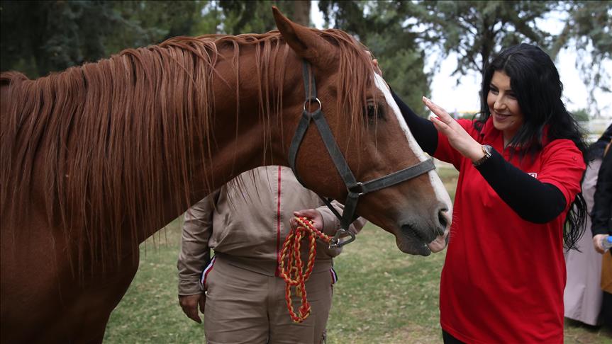 В Турции впервые открылись курсы коневодов для женщин