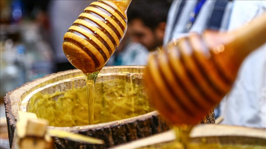 В Турции доходы от экспорта меда достигли почти $24 млн