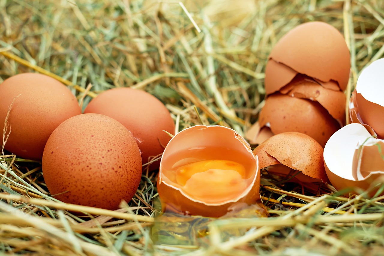    Нужны домашние куриные яйца в Анталии, где их найти? 