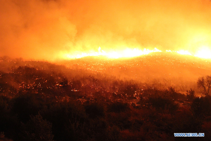 На юго-востоке Турции горят леса