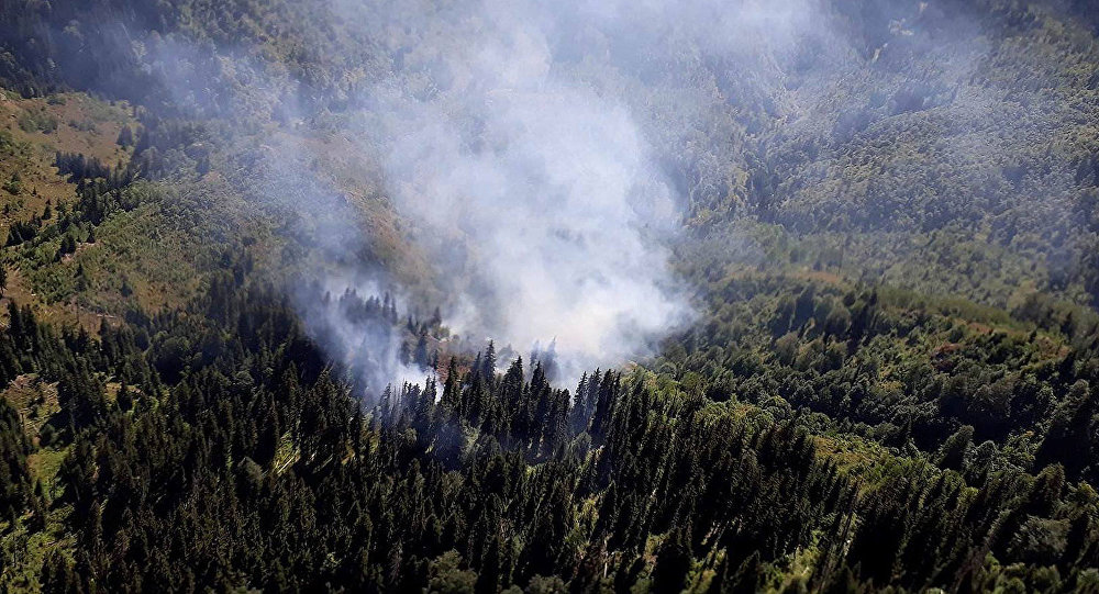 Турецкие пожарные помогли локализовать пожар в Аджарии