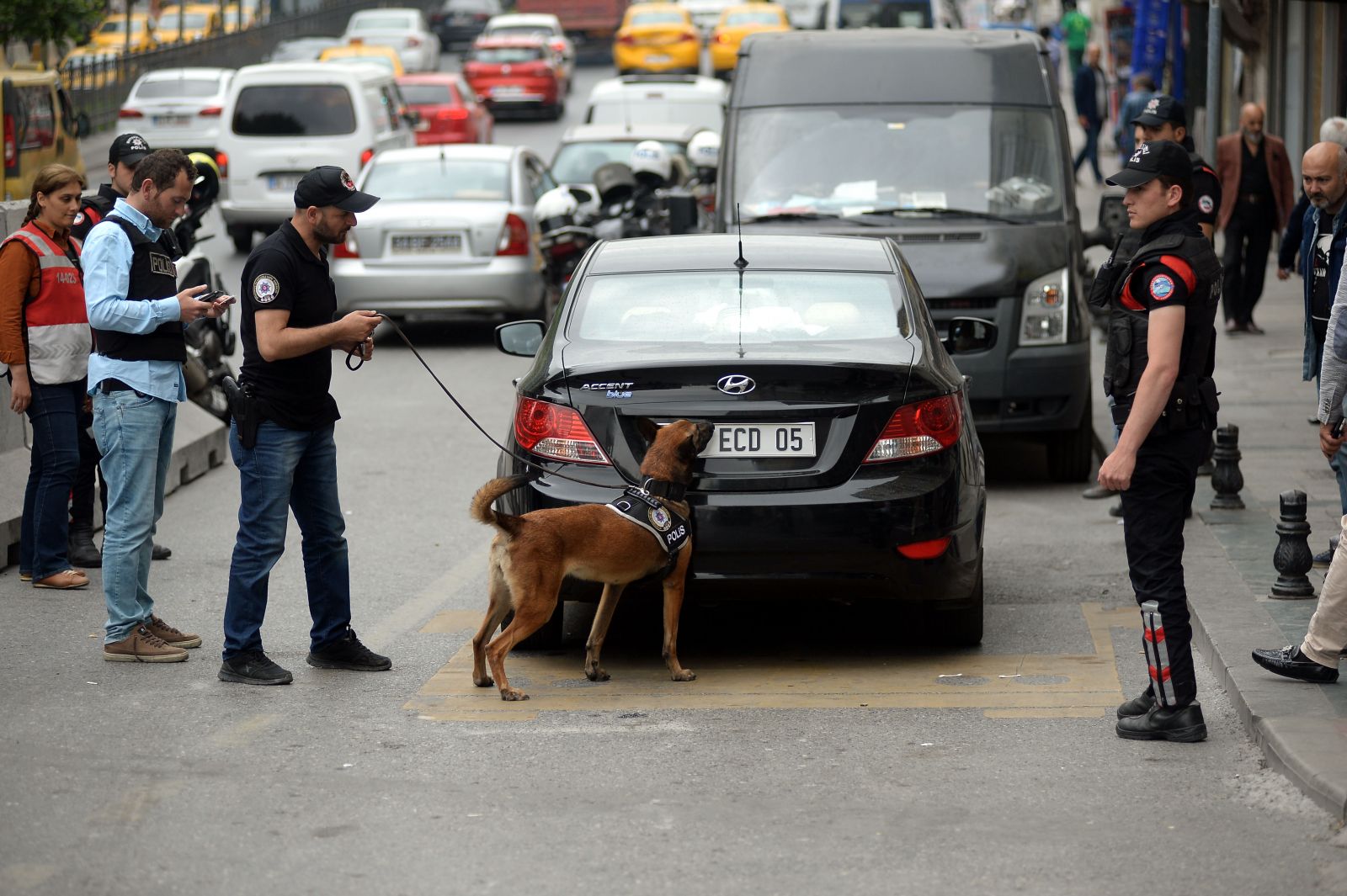 В Стамбуле объявлена полицейская операция "Волчий капкан 7"
