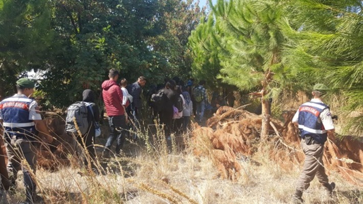 Десятки беженцев задержаны турецкой полицией на границе с Грецией
