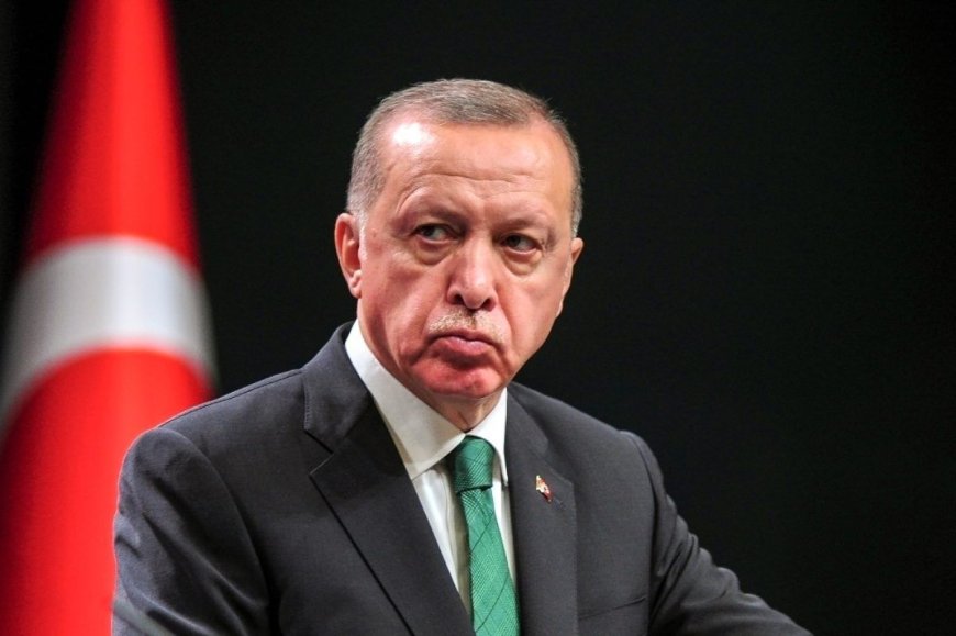 Эрдоган обсудит зарновую сделку с Кабмином