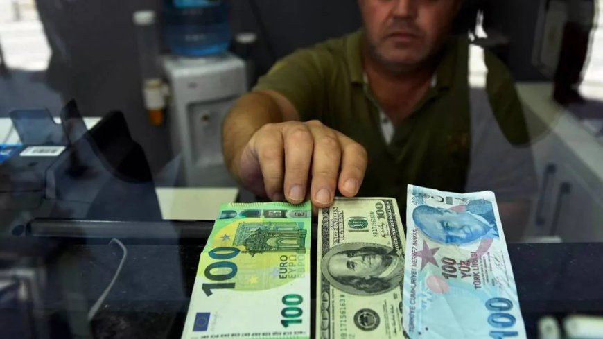 Экономист Озгюр Демитраш рассказал о "двойном курсе" доллара