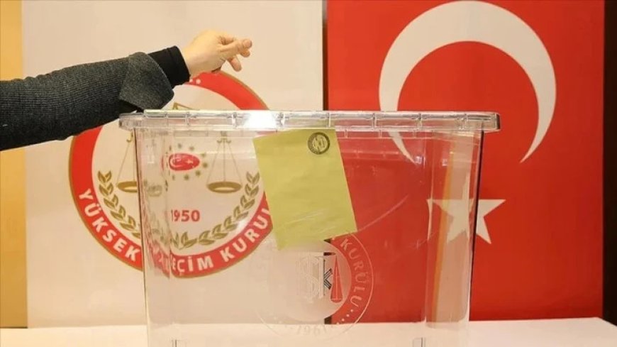 Названы первые предварительные результаты президентских выборов в Турции