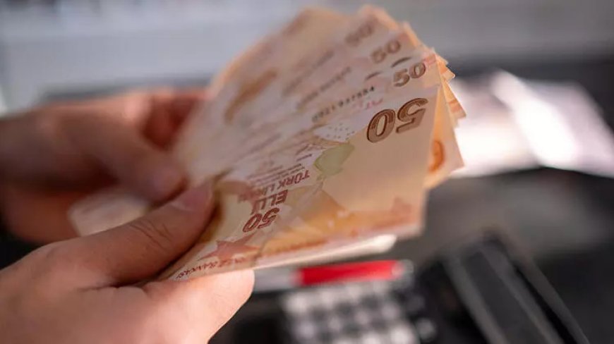 В Турции должникам отменят пеню по налоговым платежам