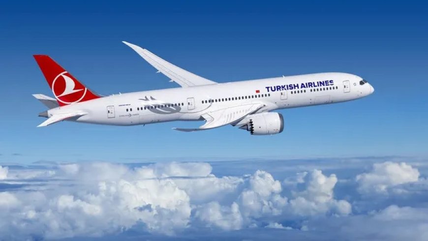 Турецкие авиалинии приобретут одномоторные самолеты