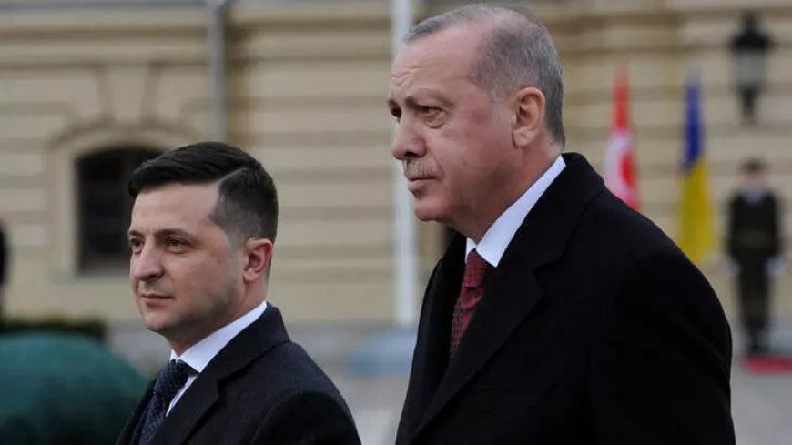 В Стамбуле началась двусторонняя встреча президентов Турции и Украины