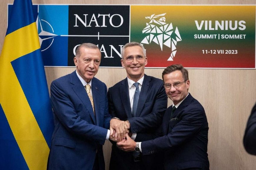 Турция поддержала вступление Швеции в НАТО