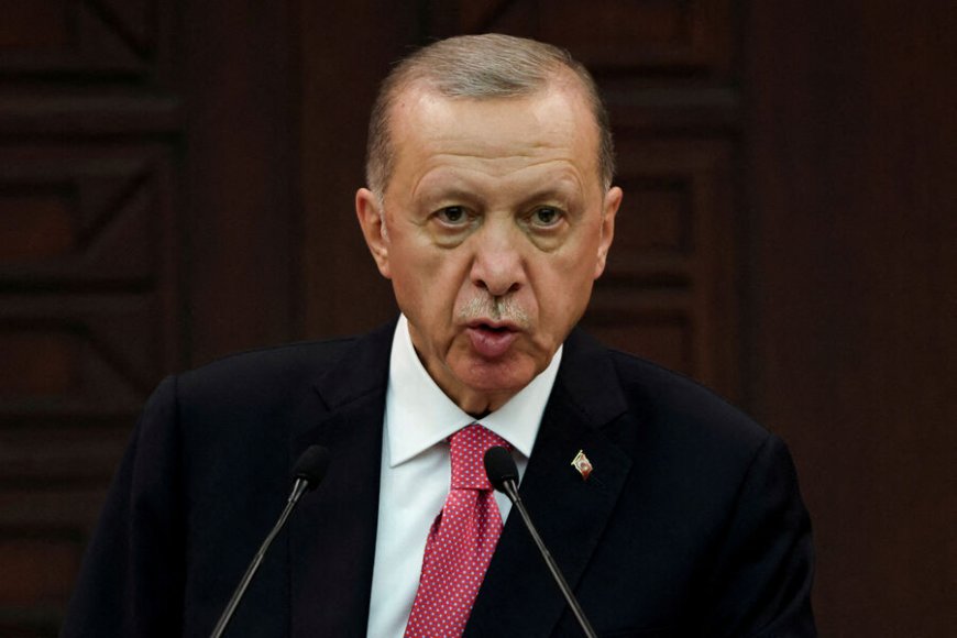 Визит Эрдогана в Германию настораживает политологов