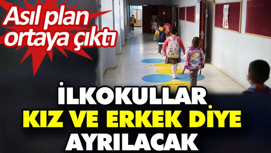 Обучение в начальной школе Турции планируют сделать раздельным