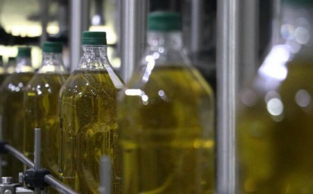 В Турции остановили экспорт оливкового масла