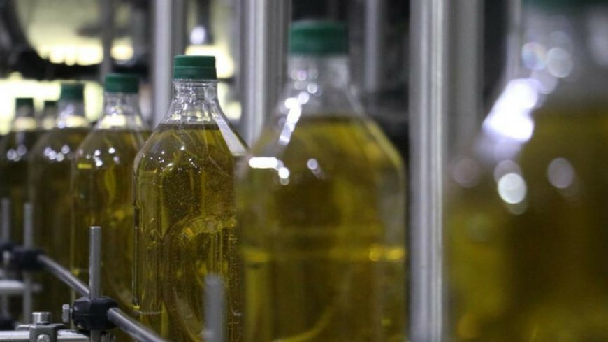 В Турции остановили экспорт оливкового масла