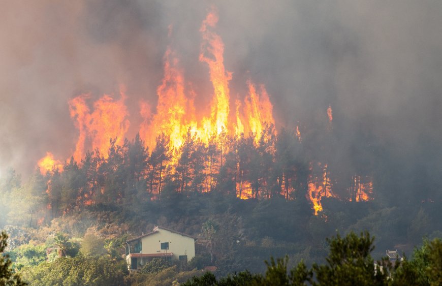 В Турции горят леса рядом с Антальей