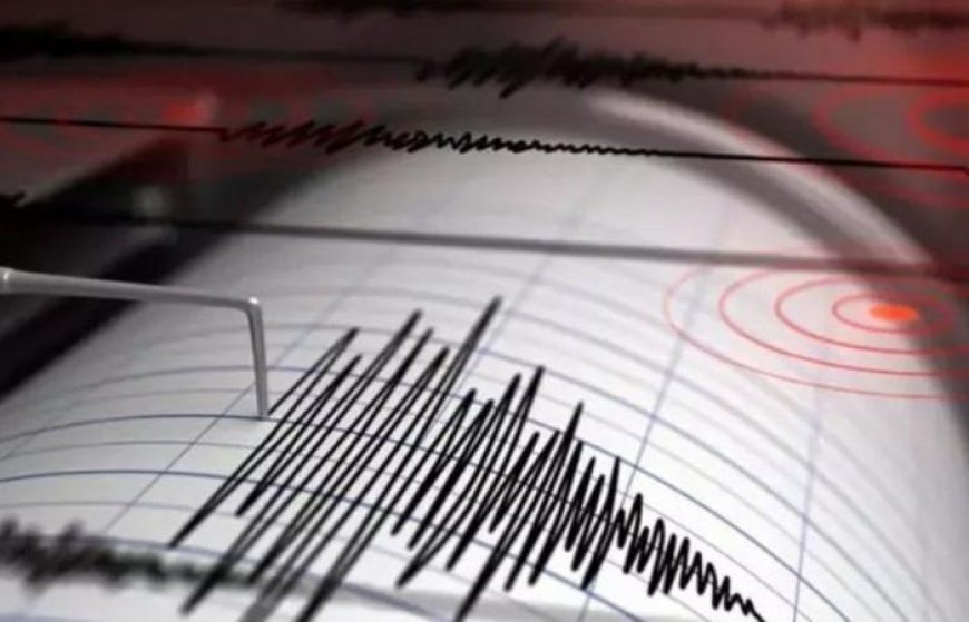 Уникальные кадры: предвестники землетрясения в Турции